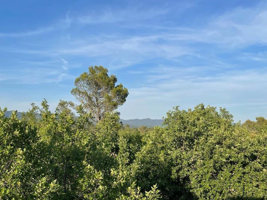 Villa Piscine - Gorges Du Verdon, Lac De Sainte-Croix Regusse Ngoại thất bức ảnh